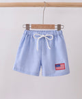 Blue flag embroidered gingham shorts