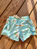 Boys Duck Swim Trunks